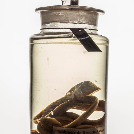 IES_CARDENALCISNEROS_CIENCIASNATURALES_271