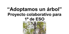 “Adoptamos un árbol”. Proyecto colaborativo para 1º de ESO (12 años)