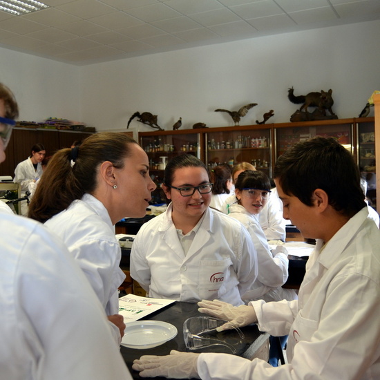 Proyecto de Aprendizaje y Servicio  42