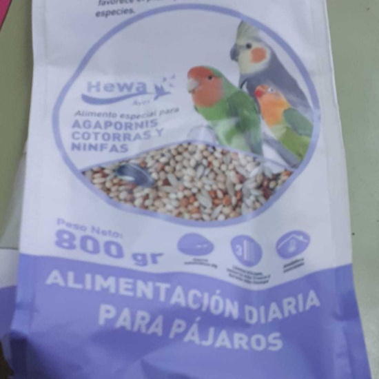 2019_01_27_4º realiza semilleros para pajaros_CEIP FDLR_Las Rozas 6