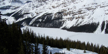 Lago Peyto, Parque Nacional Banff