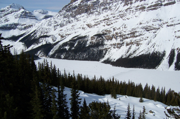 Lago Peyto, Parque Nacional Banff