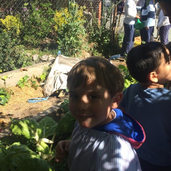 2019_05_Los alumnos de 4º en el Huerto_CEIP FDLR_Las Rozas 31