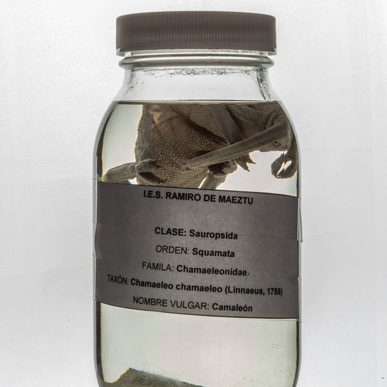 IES_RAMIRODEMAEZTU_BIOLOGIA_075