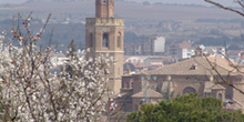 Vista de la Catedral de Barbastro