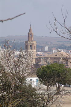 Vista de la Catedral de Barbastro