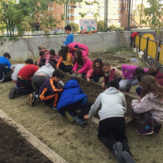 El año hortelano de 4º B 7