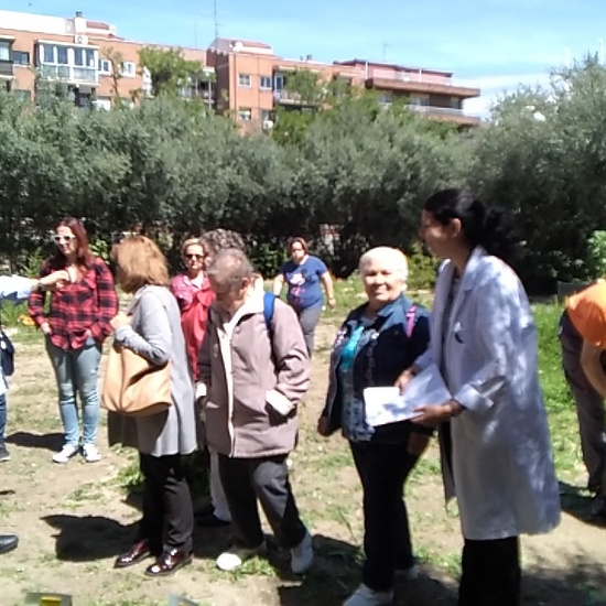 Jornadas Ciencia 2019_Visita Huerto (3)