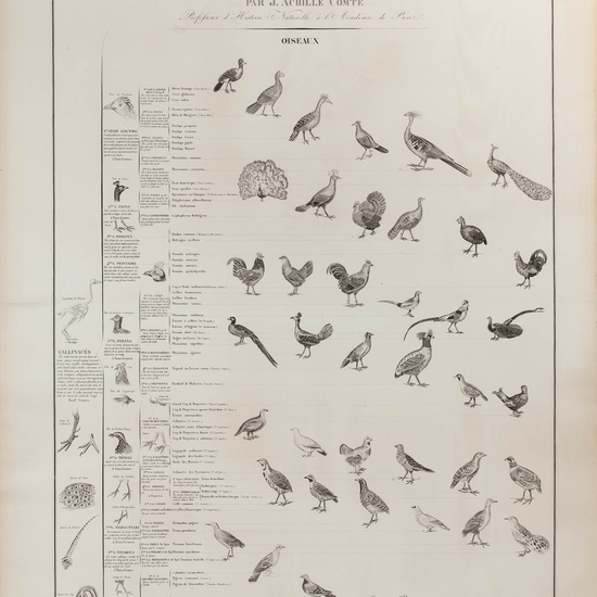 IES_CARDENALCISNEROS_ZOOLOGIA_I_LAMINAS_001