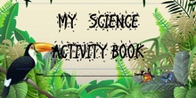 MY SCIENCE BOOK