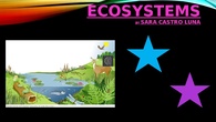 	 ECOSYSTEMS BY SARA CASTRO.