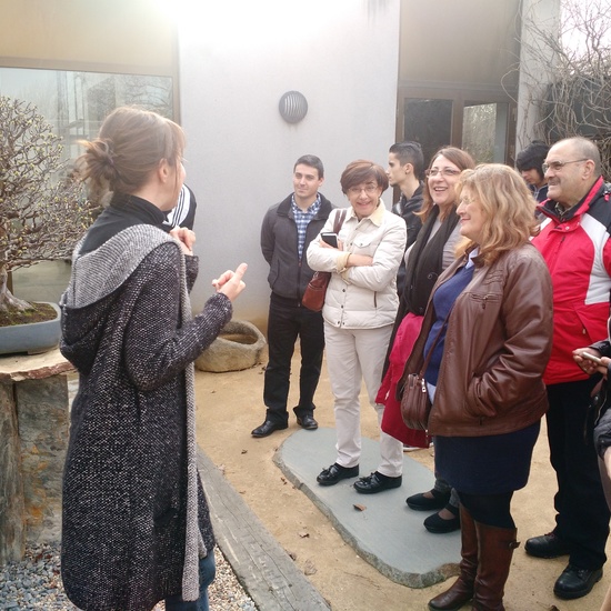 Museo del Bonsai 2