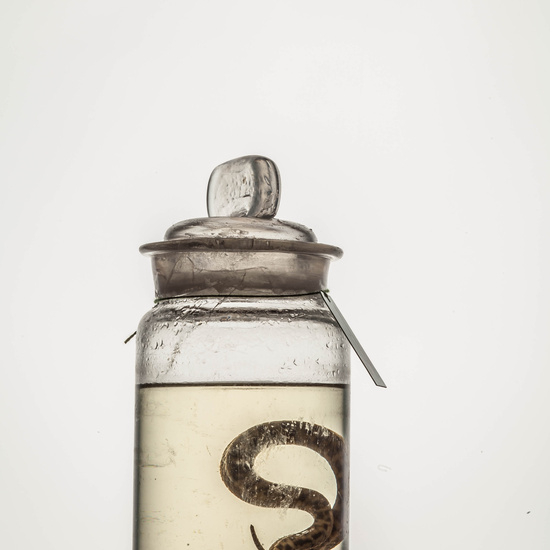 IES_CARDENALCISNEROS_CIENCIASNATURALES_254