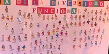 DIVERSIDAD FUNCIONAL