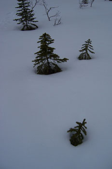 Nieve, Lago Louise, Parque Nacional Banff