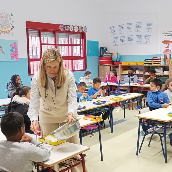 COSECHA DE LECHUGA DEL HUERTO Y COMIDA EN LA CLASE 14