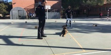 2017_11_13_UNIDAD CANINA MUNICIPAL_CEIP FDLR_LAS ROZAS_2017 2