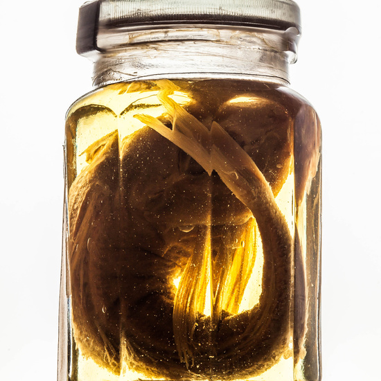 IES_SANISIDRO_MUSEO_BOTES_017