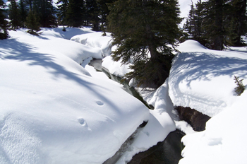 Parque Nacional Banff