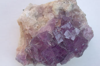 Fluorita violeta berbe