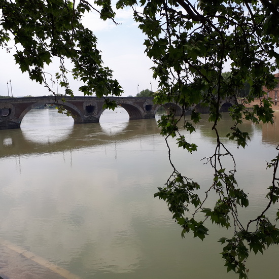 Viaje Toulouse 2018 3