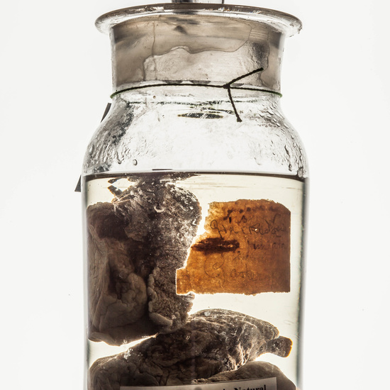 IES_CARDENALCISNEROS_CIENCIASNATURALES_033