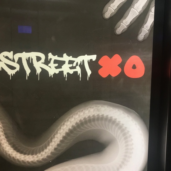 Inglaterra Curso 2019-2020 16