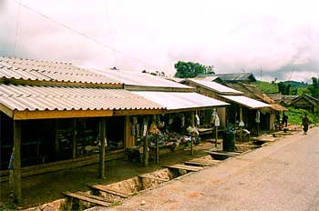 Acceso a casas con protección contra riadas, Laos