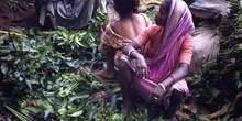 Mujeres en el mercado de verduras, Calcuta, India