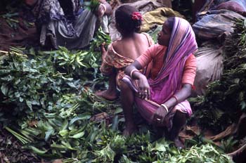 Mujeres en el mercado de verduras, Calcuta, India