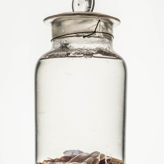 IES_CARDENALCISNEROS_CIENCIASNATURALES_035