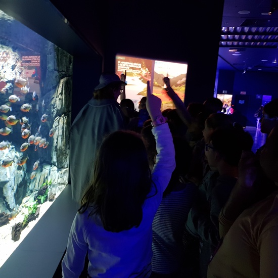 Fotos Aquarium Xanadú 3ºB 15