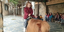 Excursión a la granja (Infantil) 5