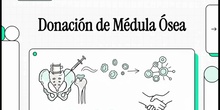 Campaña de donación de médula ósea