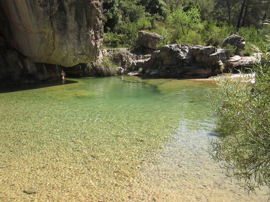 toll de l'palla