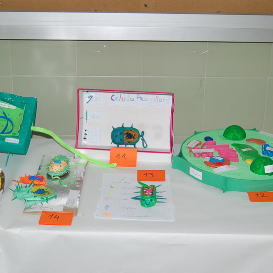 CONCURSO CELULAR 1º ESO 13