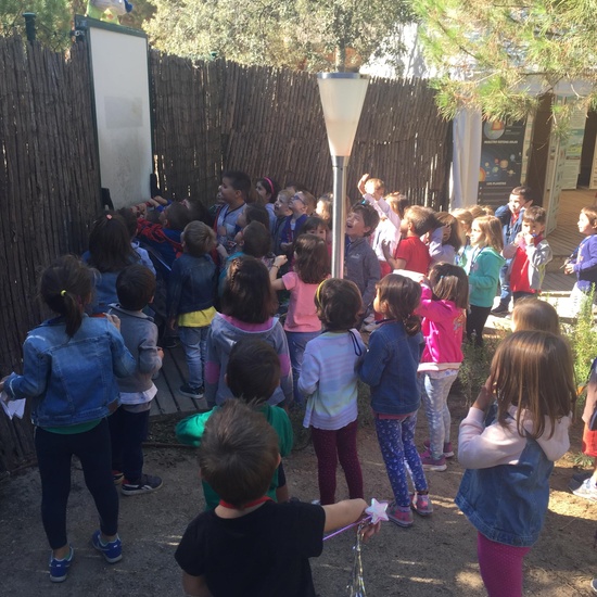 Salida al bosque encantado 3