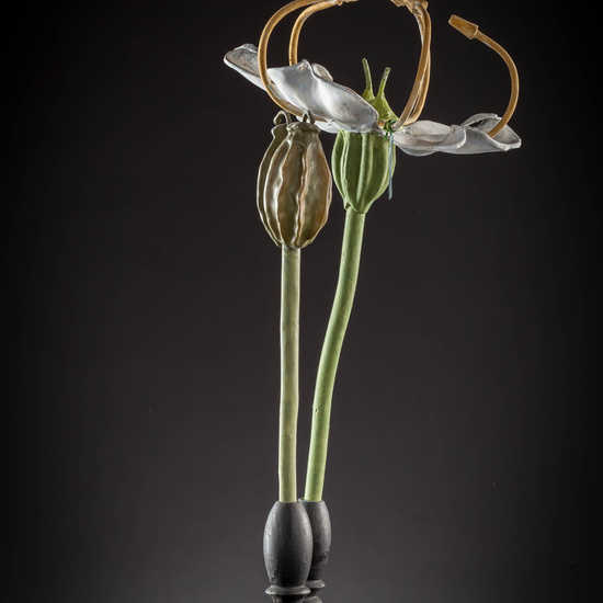 IES_CARDENALCISNEROS_BOTÁNICA_III_MODELOS_003