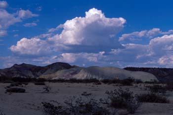 Paisaje desértico