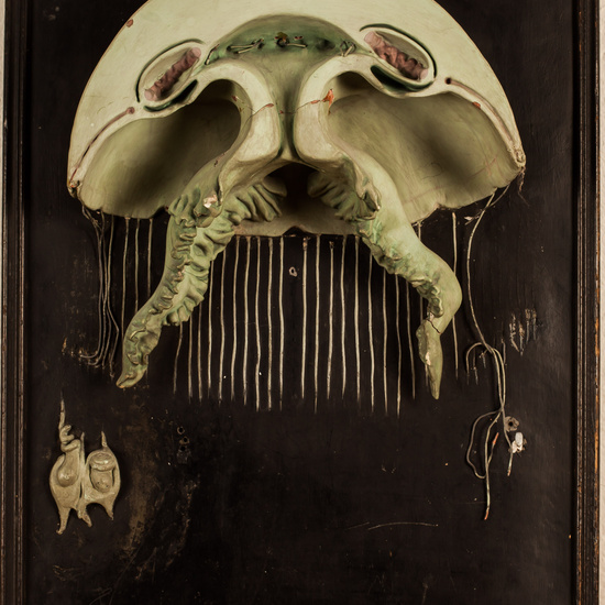 IES_SANISIDRO_BIOLOGIA_336