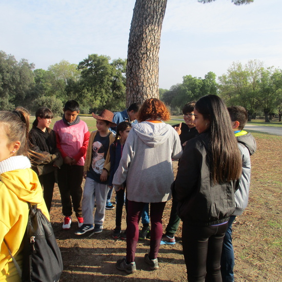 EN MÚLTIPLE 6º - 2019 23