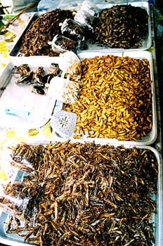 Puesto de insectos, Tailandia