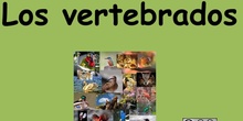 Los vertebrados