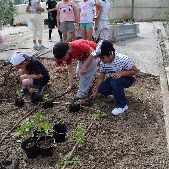 Siembra Huerta Balta 5 años 2018 47