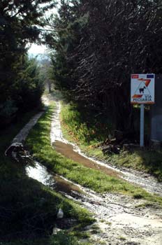 Vía pecuaria, Ctra de Torrelaguna, Comunidad de Madrid