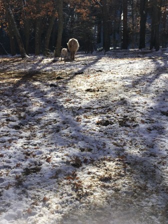 2017_12_04_EXCURSION CUARTO NIEVE 6