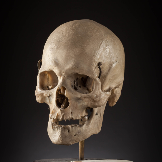 IES_SANISIDRO_MUSEO_Craneos_015