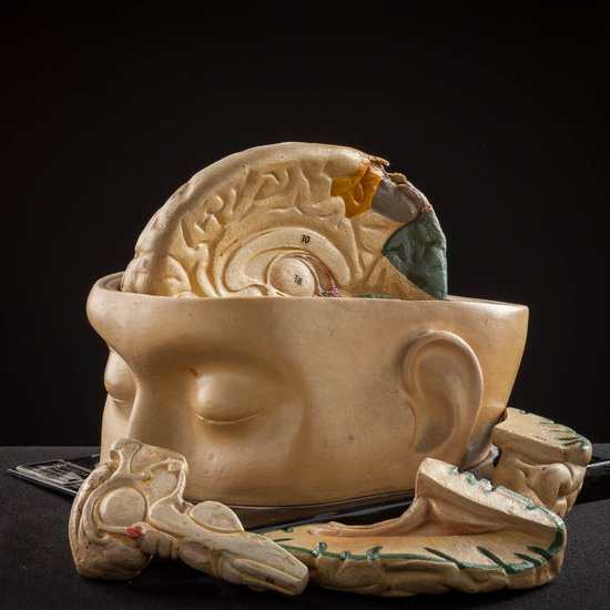 IES_ISABELLACATOLICA_ANATOMIA_008