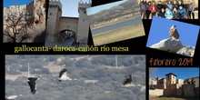 GALLOCANTA-DAROCA-CAÑÓN RÍO MESA 2-2019