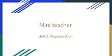 Mini teacher - Reproduction